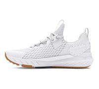 Under Armour Project Rock Blood Sweat Respect 4 Baskets pour homme, (100) Blanc/Gris Distant/Noir, 47.5 EU