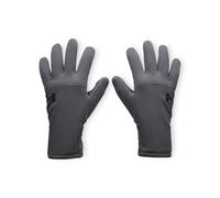 Under Armour Gants d'entraînement Storm Fleece Gris M Homme