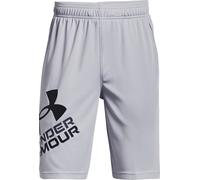 Under Armour UA Prototype 2.0 Logo Shorts Shorts YXS Argent