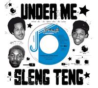 Under Me Sleng Teng