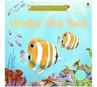 Under the Sea Lift and Look, Lift and Look Board Books Felicity Brooks (Auteur)