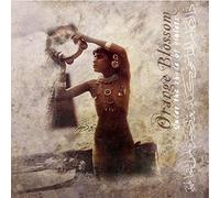 Under the Shade of Violets