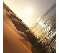 Under The Sun Vinyle