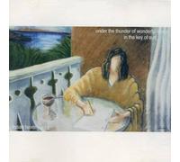 Under the Thunder of Wonderful Songs in the Key of Surf