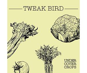 Undercover Crops