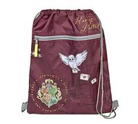 Undercover Sac de gym avec fermeture de sécurité, poche zippée, environ 32 x 41 cm, motif Harry Potter