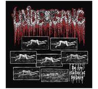 Undergang - De Syv Stadier Af Ford?Ae?Rv [Compact Discs]
