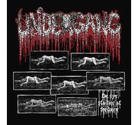 Undergang - De Syv Stadier Af Ford?Ae?Rv [Compact Discs]