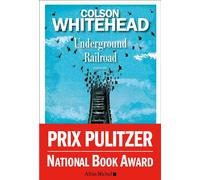 Colson Whitehead – Underground Railroad – Traduit par Serge Chauvin – Les Éditions Albin Michel