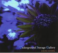 Underground Storage Gallery [Import Allemand]