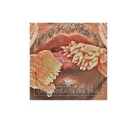 Underneath The Pine (10th Anniversary) - Vinyle 33 Tours