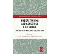Understanding And Conscious Experience