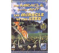 Understanding Islam – The Miracle of the Ant – Import anglais