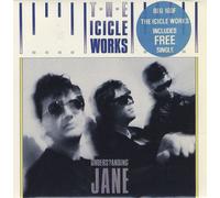 UNDERSTANDING JANE 7" (45) UK BEGGARS BANQUET 1986 B/W I NEVER SAW MY HOMETOWN 'TIL I WENT AROUND THE WORLD (BEG160) PIC SLEEVE