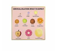 Understanding Labor Poster Cervical Dilation and Effacement Modern Art Print for Maternity Wards Student Midwives Home Study(Unframed,16x24inch(40x60cm))