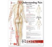 Understanding Pain Anatomical Chart Anatomical Chart Company (Auteur)