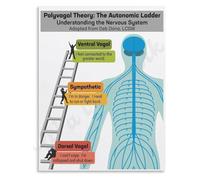 Understanding Polyvagal Theory Poster Social Engagement Safety Cues Nervous System Educational Canvas Painting Living Room Decor