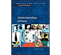 Understanding Prisons: Key Issues In Policy And Practice