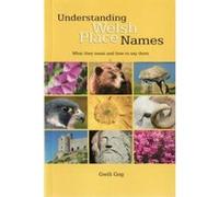 Understanding Welsh Place Names: What They Mean and How to Say Them - [Version Originale] Inconnu (Auteur)