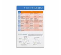 Understanding Your Horse Poster Equine Body Language Chart Canvas Wall Art for Equestrian Home Study Room(Unframed,16x24inch(40x60cm))