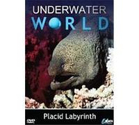 Underwater World - Placid Labyrinth G