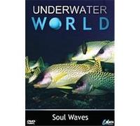 Underwater World – Soul Waves – Import anglais