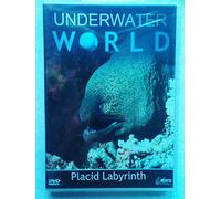 Underwater World - Placid Labyrinth G