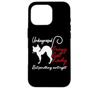 Undiagnosed But Something Aint Right Funny Crazy Cat Lady Coque pour iPhone 16 Pro