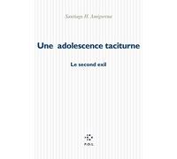 Une adolescence taciturne Santiago Horacio Amigorena (Auteur)