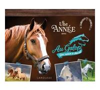Une année avec AU GALOP