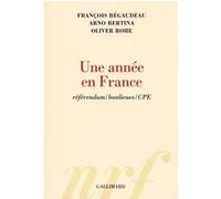 Une année en France François Bégaudeau (Auteur), Oliver Rohe (Auteur), Arno Bertina (Auteur)