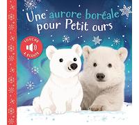 Une aurore boréale pour petit ours – Album jeunesse – 1.2.3 SOLEIL! – Cartonné