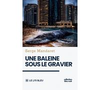 Une Baleine Sous Le Gravier