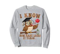 Une Blague sur Un Hibou drôle, Je Sais Combien de léchages il Faut Sweatshirt