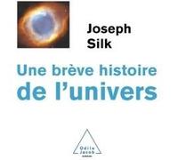 Une brève histoire de l'Univers Joseph Silk (Auteur)