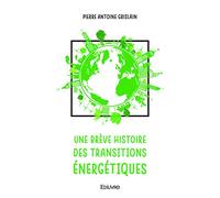 Une brève histoire des transitions énergétiques