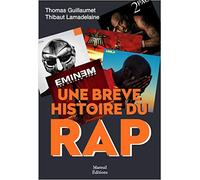Une brève histoire du rap