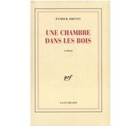 Une chambre dans les bois Patrick Drevet (Auteur)