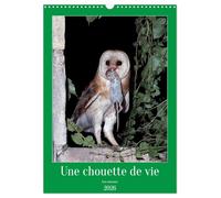 Une chouette de vie, les oiseaux (Calendrier mural 2026 DIN A3 horizontal), CALVENDO calendrier mensuel: Les chouettes qui peuplent notre environnement