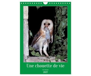 Une chouette de vie, les oiseaux (Calendrier mural 2027 DIN A4 horizontal), CALVENDO calendrier mensuel: Les chouettes qui peuplent notre environnement