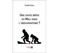 Une Chute Brève Du Mali Dans L'obscurantisme ?