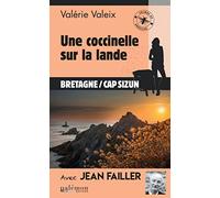 Une coccinelle sur la lande
