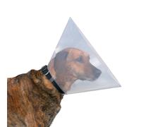 une collerette de protection chien, L 44-50 cm/ 25 cm