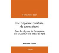 Une culpabilité construite de toutes pièces Dans les abysses de l'oppression des Ouïghours : la chaise du tigre - Souleyman Boel - Edilivre-Aparis - broché - Roman