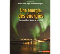 Une énergie, des énergies: Comment fonctionne le monde ?
