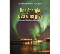 Une énergie, des énergies: Comment fonctionne le monde ?