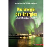 Une énergie, des énergies: Comment fonctionne le monde ?