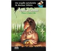 Une Enquête Surnaturelle De Monsieur Voltaire Tome 3 - Mystère Au Cimetière