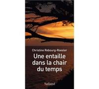 Une entaille dans la chair du temps Christine Rebourg-Roesler (Auteur)