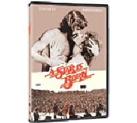 Une étoile est née (A Star Is Born) – DVD – Warner Bros.
